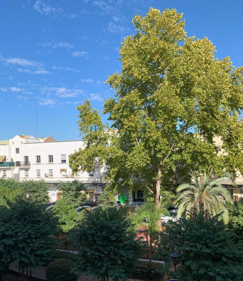 Acogedor Apartamento En Pleno Corazon De Triana Sevilla Dış mekan fotoğraf